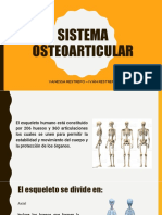Sistema Osteo Articular