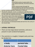 Ventricles Studetns PDF