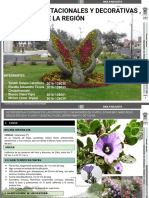 Grupo Las Flores Estacionales y Decorativas, Tipologias de La Region