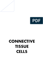 Connective Tissue Cells