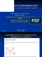 Diapositivas Diseños Anidados PDF