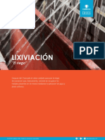 lixiviacion_media_t__cnico_080119.pdf