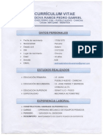 Curriculum Vitae Pedro