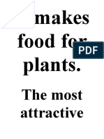 It Makes Food For Plants