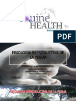 Fisiologia Reproductiva de La Yegua Parte 1