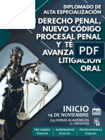Brochure Diplomado de Alta Especialización en Derecho Penal