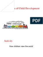 Section 4 - Principles of Child Development.ppt