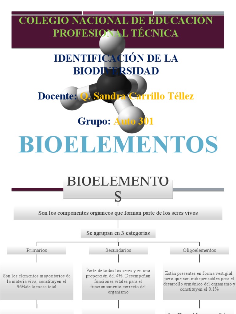 Bioelementos: Clave para la Vida | PDF | Lípido | Carbohidratos