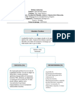 Sistema Endocrino