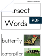 Bug Word Cards PDF