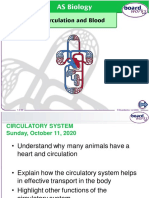 Circulation and Blood 1B.1