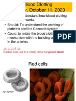 1B.2 How Do We Stop Bleeding