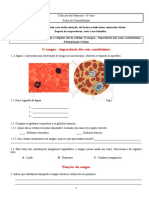 ciencias aaprelhos.doc