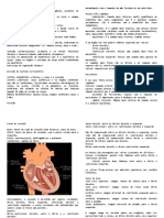 Resumo Sistema Cardiovascular