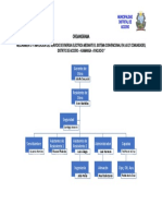 01 - Organigrama_13