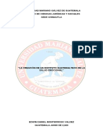 Plan de Investigacion PDF