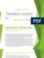 Fase5_PropuestaFinal_CarolinaLozano..docx.pptx