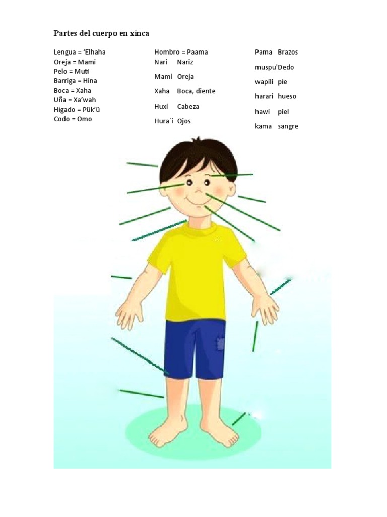 Partes Del Cuerpo en Xinca | PDF