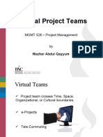 Virtual Project Teams