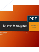 Styles de Management
