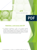 Atp Glucolisis Cadena y Fosforilación PDF