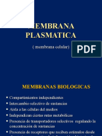 Membrana Celular o Membrana Plasmatica 21 de Septiembre de 2020