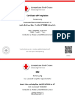 Red Cross Certificate 8