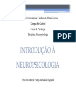 Neuropsicologia - Origens e Definição PDF