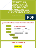 Estructura, Componentes, Descripción Y Dinámica de Las Cuentas Del P.U.C