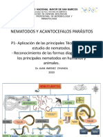 Practica 1 Técnicas de Estudio de Nematodos y Acantocefalos