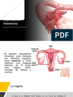 Sistema Reproductor Femenino