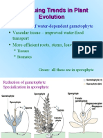 Continuing Trends in Plant Evolution