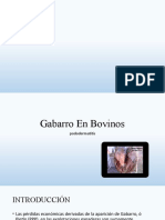 Gabarro en Bovino - PPTX - Autorecuperado
