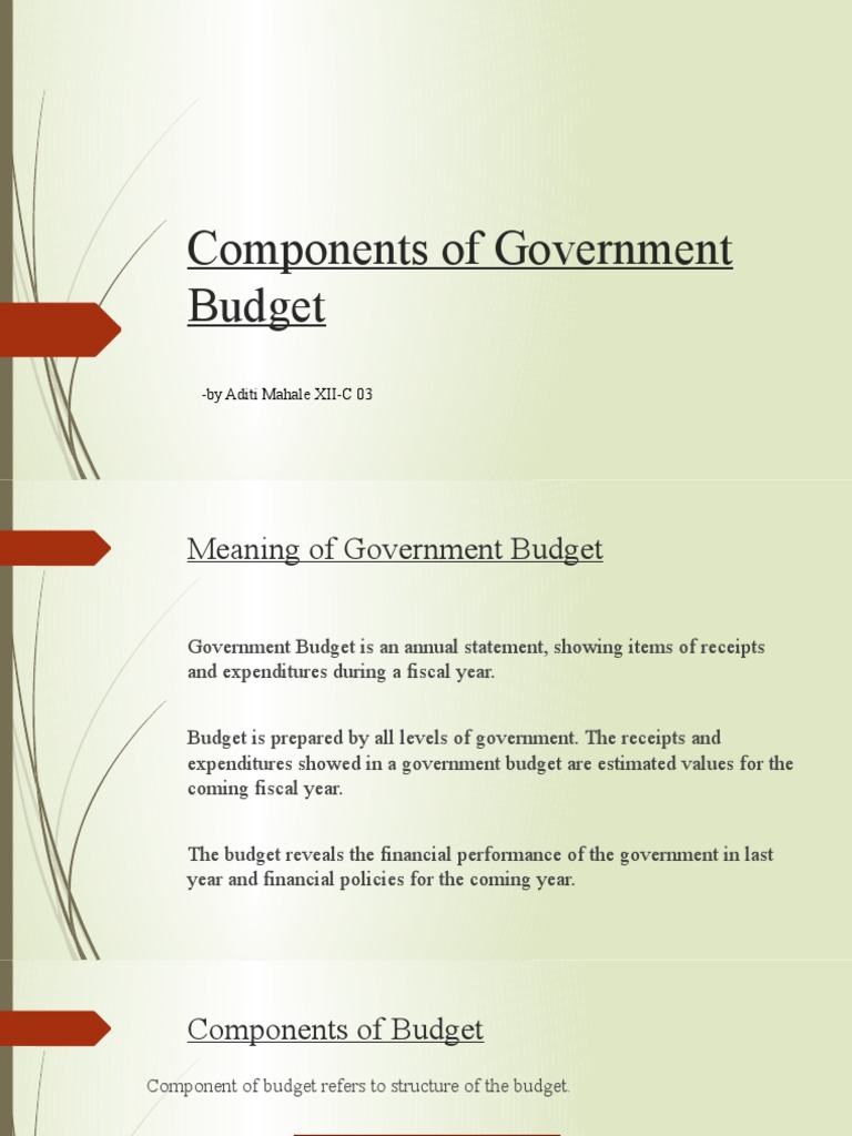 Components of Government Budget | PDF | Budget | Expense