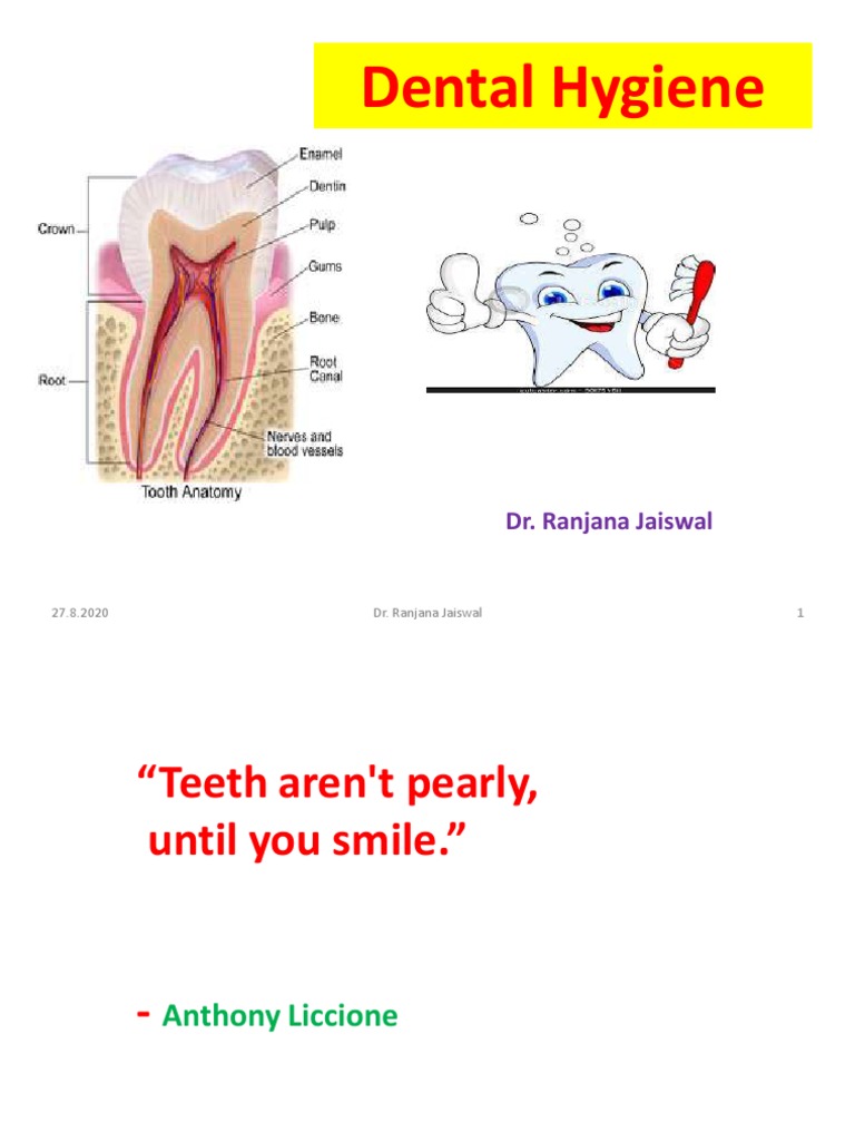 Dental Hygiene | PDF | Tooth | Human Tooth
