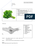 TUGAS SIMPLISIA Seldr-Dikonversi