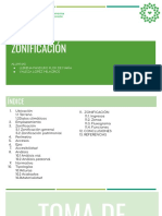 Zonificacion PDF