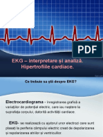 EKG Interpretare Analiza
