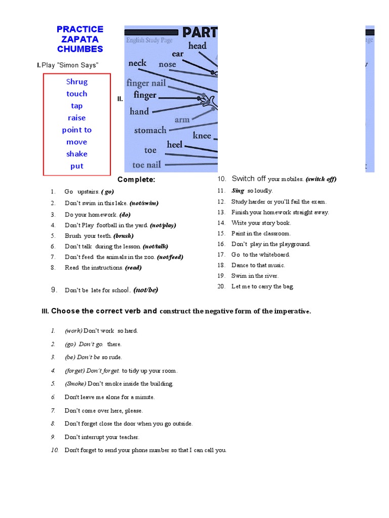 Imperative Verb Practice Exercises | PDF | Foreign Language Studies | Art
