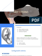 Oído Externo