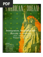 Group 4 Immigration Superstars and Poverty in America