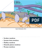 Membran Sel PDF