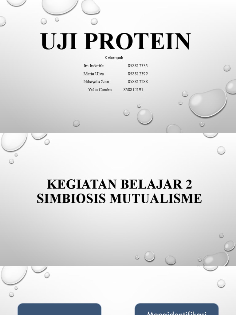 Uji Protein Pdf