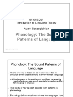 Phonology: The Sound Patterns of Language: 01:615:201 Introduction To Linguistic Theory Adam Szczegielniak