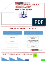 Inclusion Laboral Persona Con Discapacidad