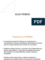 GUIA PMBOK Formulacion y Avluacion de Proyectos