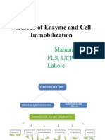 Methods of Enzyme Immobilization