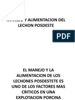 Manejo y Alimentacion Del Lechon Posd