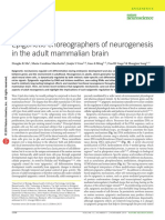 Epigenetic choreographers of neurogenesis in the adult mammalian brain.pdf