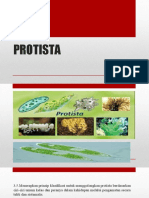 Protista (pertemuan6).pptx
